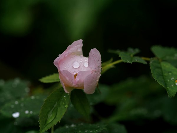 Energymoov : réinventez votre confort thermique aujourd'hui