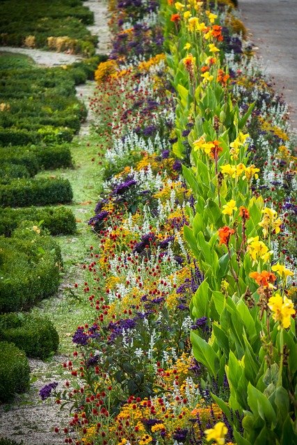 Création et entretien de jardins : conseils pour un extérieur idéal